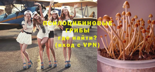apvp Абаза