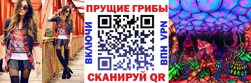Псилоцибиновые грибы Cubensis  Приморско-Ахтарск 